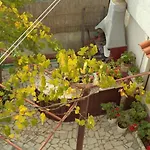 In - Istrien 11382 דירה פולה