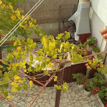 In - Istrien 11382 Appartement Pula