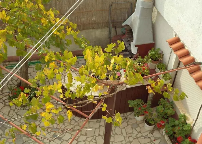 In - Istrien 11382 Appartement Pula